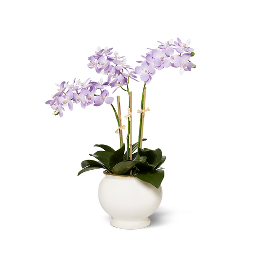 Lavender Orchids in Siena Cachepot, Cream- Diane James Home | Faux Floral Couture Handmade In The USA