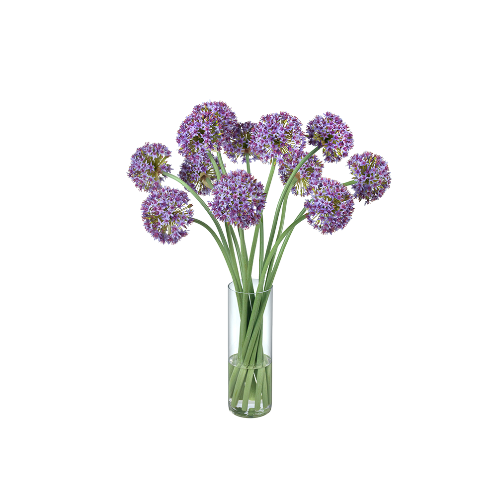 Alliums in Tall Glass Cylinder – Diane James Home