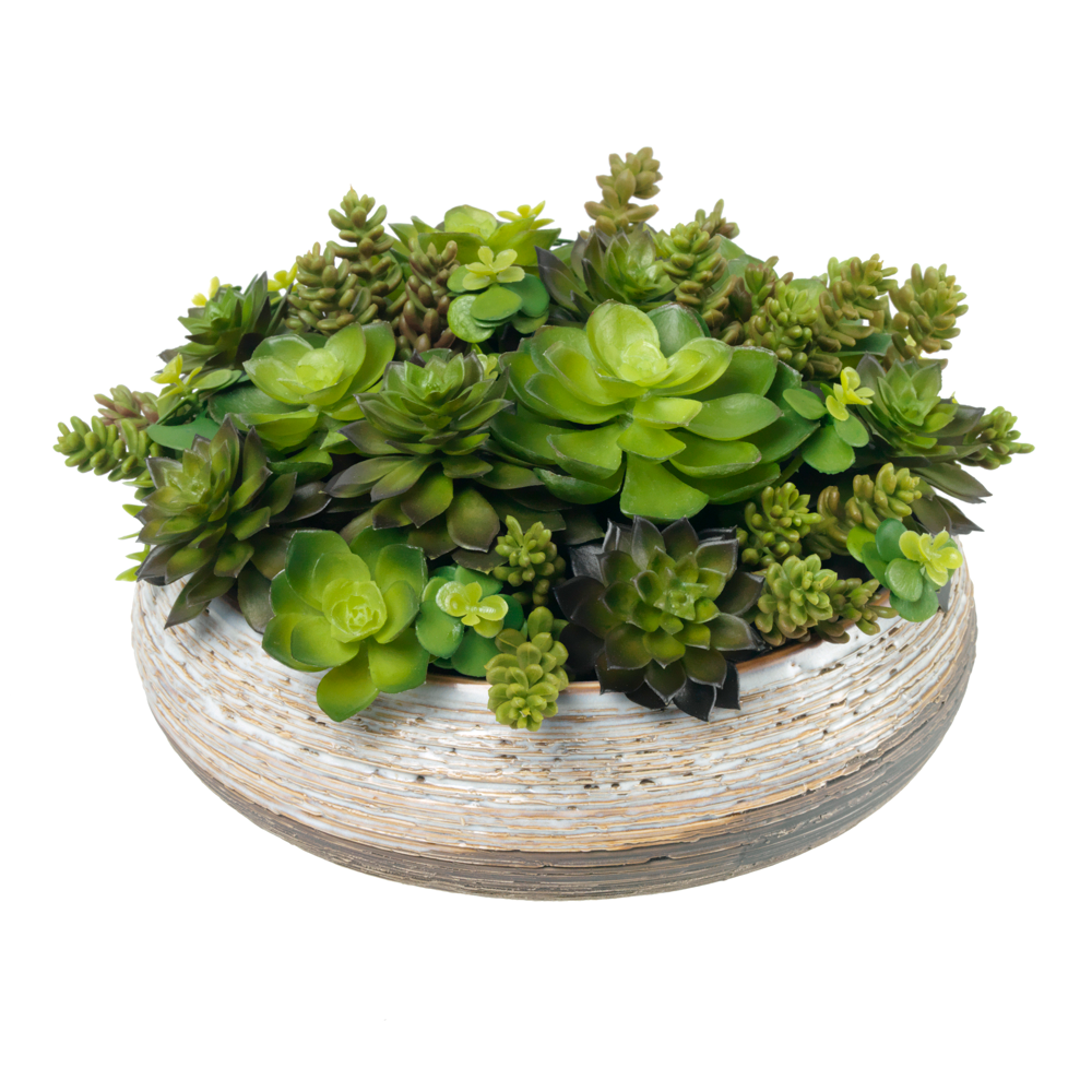 PLANTS GREENERY – Diane James Home