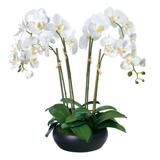 Phalaenopsis Orchids in Black Ceramic Bowl- Diane James Home | Faux Floral Couture Handmade In The USA