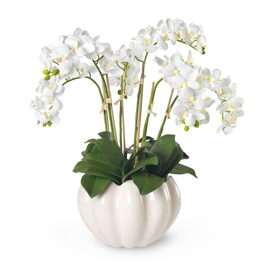 White Orchids in Mirabelle Cachepot, Cream- Diane James Home | Faux Floral Couture Handmade In The USA