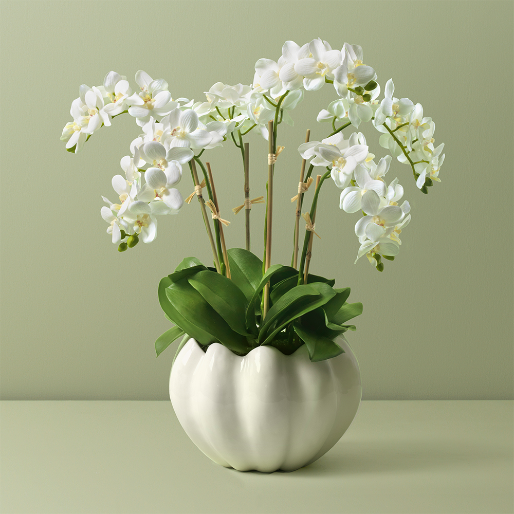 White Orchids in Mirabelle Cachepot, Cream- Diane James Home | Faux Floral Couture Handmade In The USA