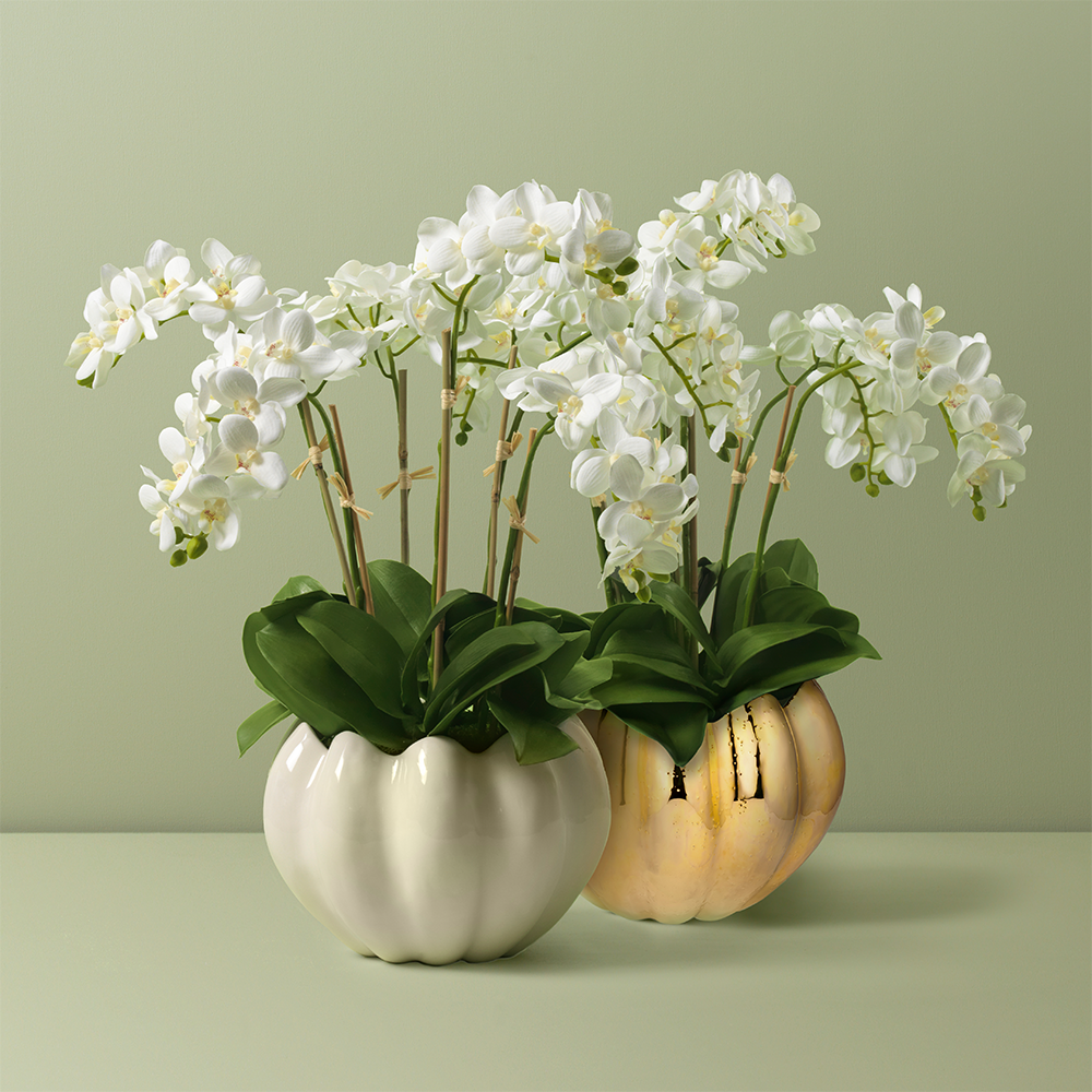 White Orchids in Mirabelle Cachepot, Cream- Diane James Home | Faux Floral Couture Handmade In The USA